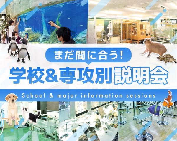 まだ間に合う！学校＆専攻別説明会／ＴＣＡ東京ＥＣＯ動物海洋専門学校