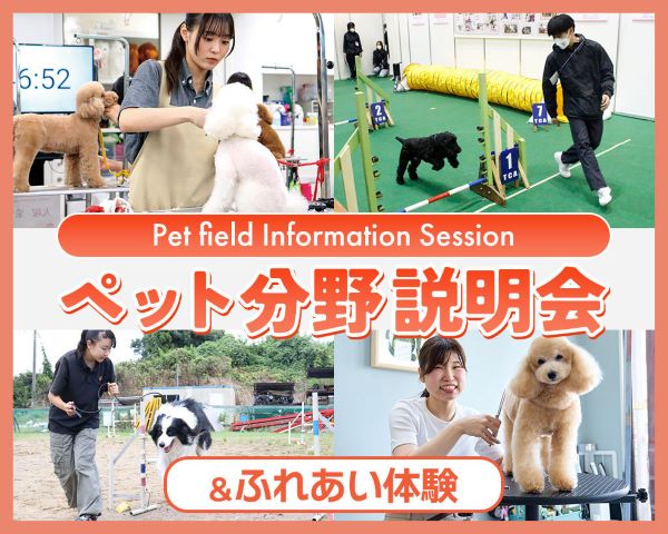 ＴＣＡ東京ＥＣＯ動物海洋専門学校