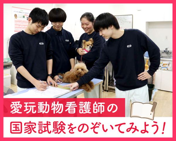 愛玩動物看護師の国家試験をのぞいてみよう！／ＴＣＡ東京ＥＣＯ動物海洋専門学校