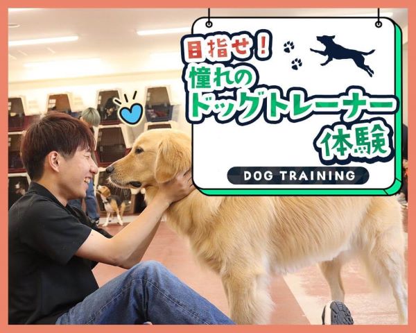 目指せ！憧れのドッグトレーナー体験／ＴＣＡ東京ＥＣＯ動物海洋専門学校