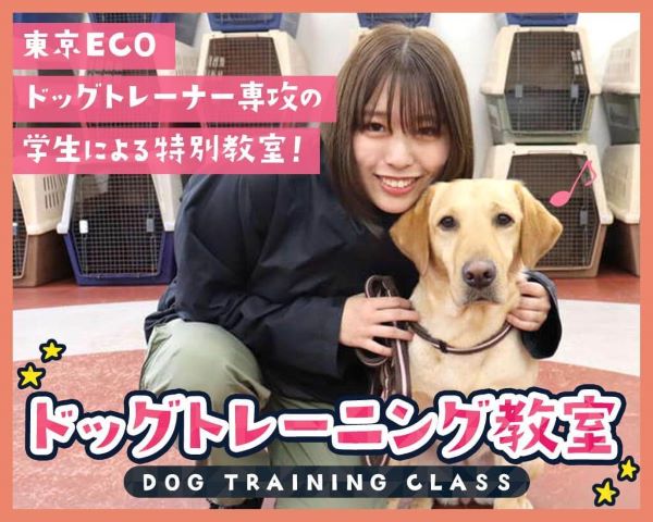 東京ECOドッグトレーナー専攻の学生による特別教室！ドッグトレーニング教室／ＴＣＡ東京ＥＣＯ動物海洋専門学校