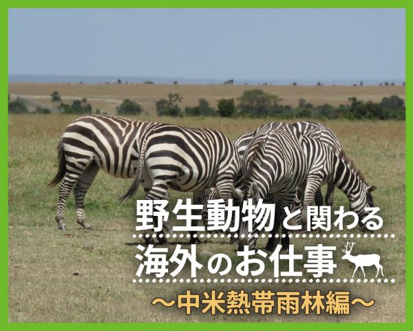 野生動物と関わる海外のお仕事～中米熱帯雨林編～／ＴＣＡ東京ＥＣＯ動物海洋専門学校
