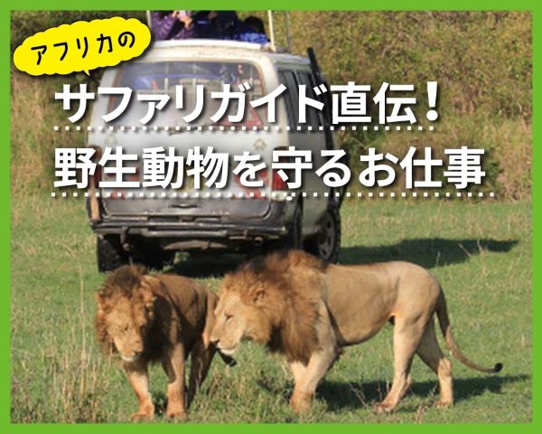 アフリカのサファリガイド直伝！野生動物を守るお仕事／ＴＣＡ東京ＥＣＯ動物海洋専門学校