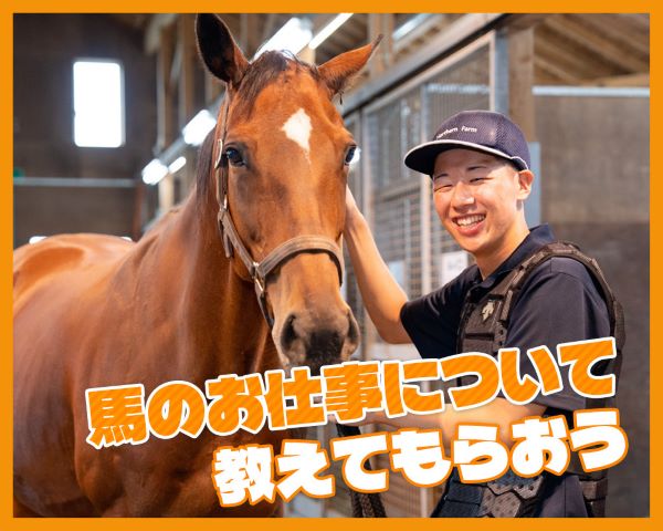 馬のお仕事について教えてもらおう／ＴＣＡ東京ＥＣＯ動物海洋専門学校
