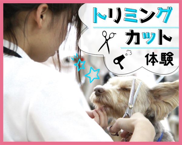 ＴＣＡ東京ＥＣＯ動物海洋専門学校