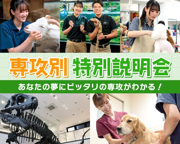 専攻別特別説明会／ＴＣＡ東京ＥＣＯ動物海洋専門学校
