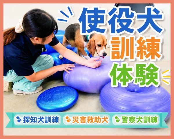 ＴＣＡ東京ＥＣＯ動物海洋専門学校