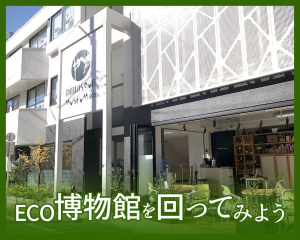 東京ECO博物館を回ってみよう／ＴＣＡ東京ＥＣＯ動物海洋専門学校