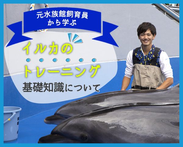 元水族館飼育員から学ぶ～イルカのトレーニング基礎知識について～／ＴＣＡ東京ＥＣＯ動物海洋専門学校