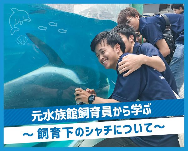 元水族館飼育員から学ぶ～飼育下のシャチについて～／ＴＣＡ東京ＥＣＯ動物海洋専門学校