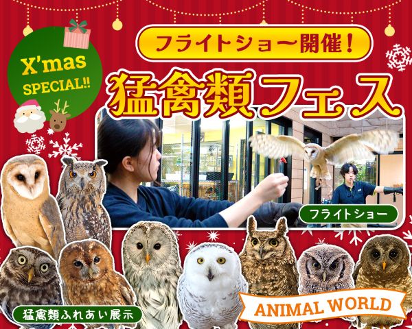 猛禽類フェス！／ＴＣＡ東京ＥＣＯ動物海洋専門学校