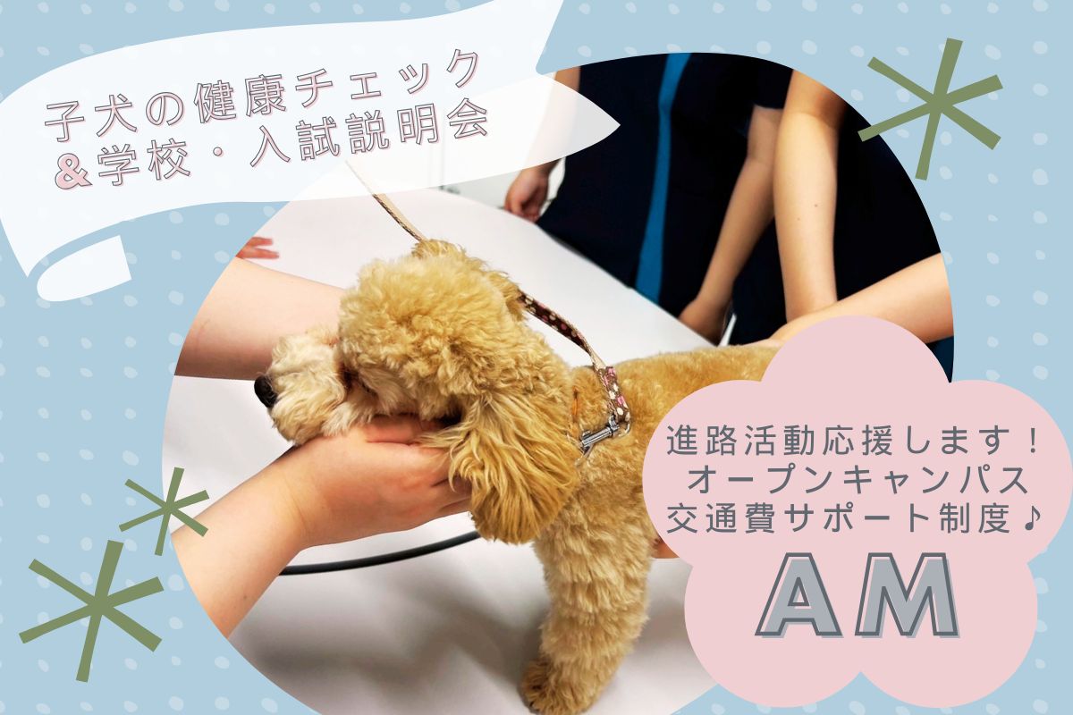 横浜動物専門学校