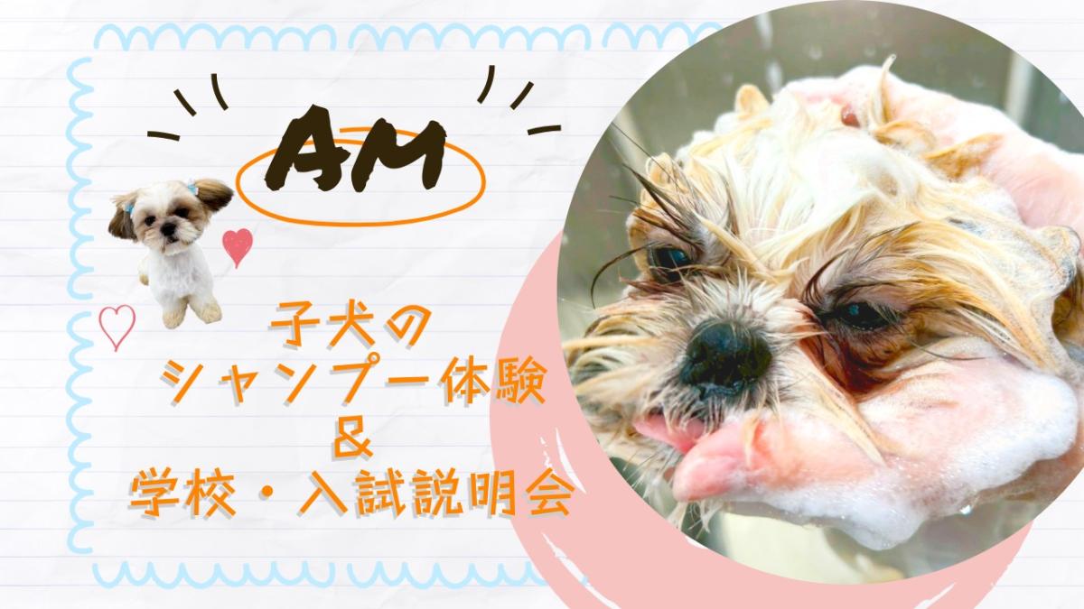 横浜動物専門学校