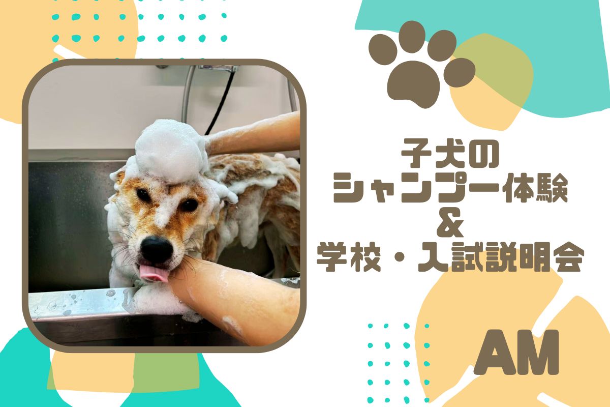 横浜動物専門学校