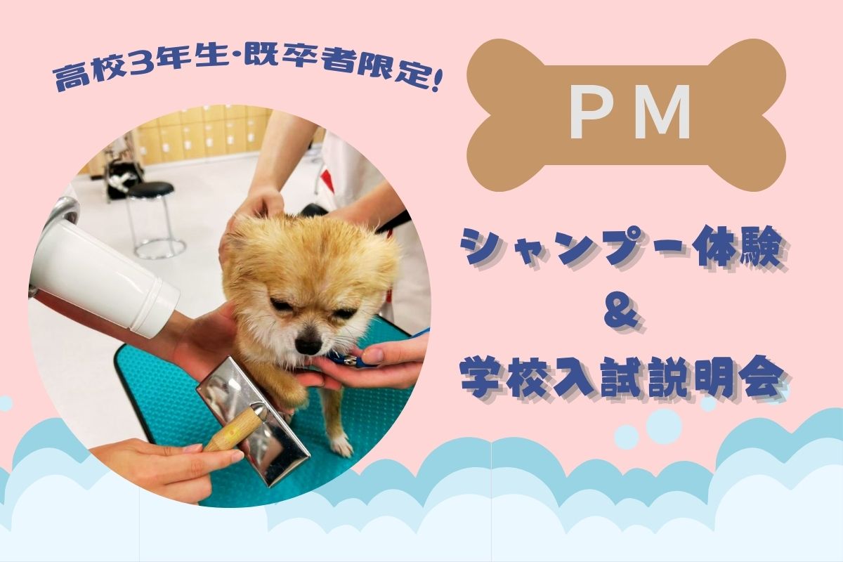 横浜動物専門学校
