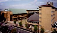 福岡大学附属若葉高等学校1