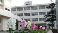 野崎高等学校