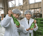 宮城県 宮城農業高校 農業科作物研究班のみなさん3