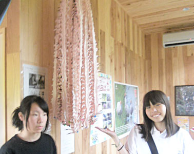 石川県 津幡高校 朱鷺サポート隊のみなさん1