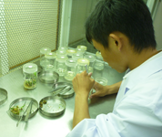 香川県 笠田高校 植物科学科植物バイオコース3年生のみなさん2