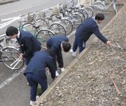 茨城県　結城市立結城中学校　女子バレーボール部のみなさん3
