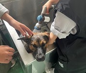 岐阜県　大垣養老高校　犬クラブのみなさん2