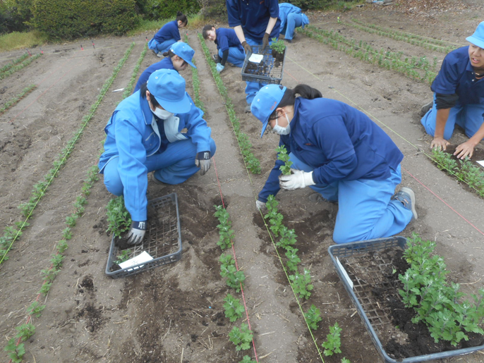 長野県 佐久平総合技術高校 農業科(生物サービス科植物活用コース)3年生のみなさん7