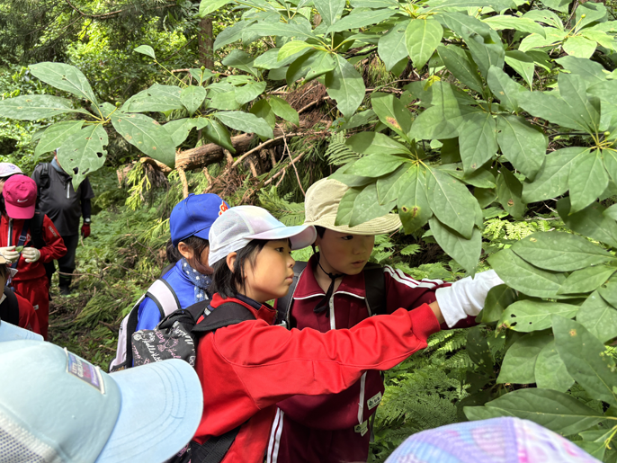 秋田県　北秋田市立義務教育学校阿仁学園　３、４年生のみなさん3