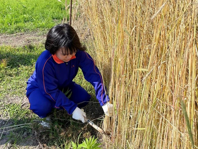 和歌山県 熊野高校 Kumanoサポーターズリーダー部のみなさん2