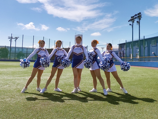 桐蔭横浜大学の部活