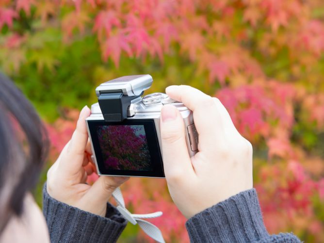 太成学院大学のcampusgallery