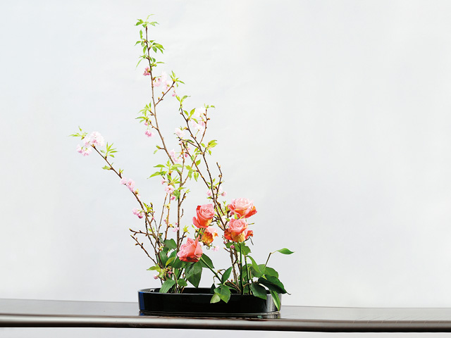 鈴鹿医療科学大学のcampusgallery