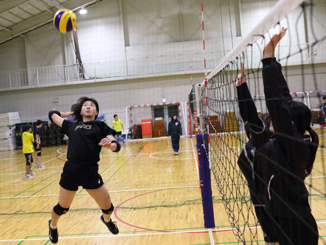 桐蔭横浜大学の部活