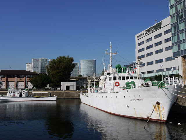 東京海洋大学のオープンキャンパス