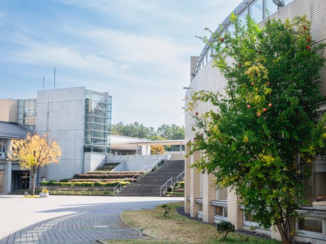 明治薬科大学のオープンキャンパス