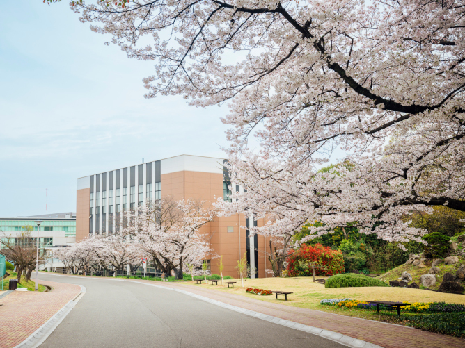 四天王寺大学のcampusgallery