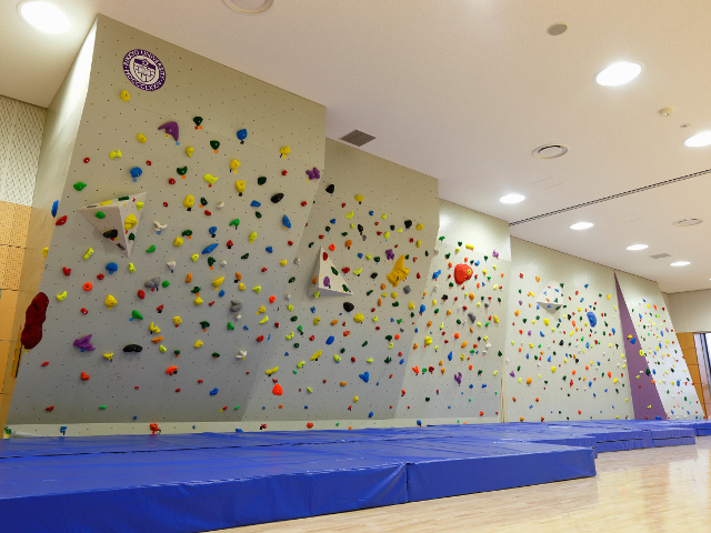 立教大学のcampusgallery