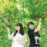 農学部