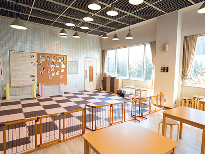 仙台総合ペット専門学校のオープンキャンパス