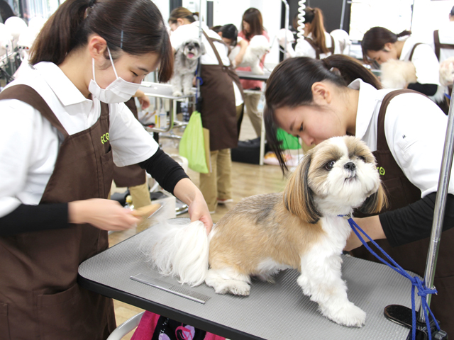 ＴＣＡ東京ＥＣＯ動物海洋専門学校のオープンキャンパス