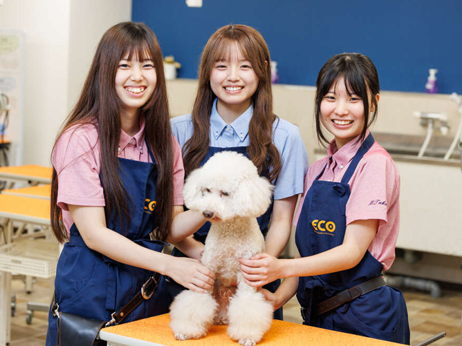 名古屋ＥＣＯ動物海洋専門学校