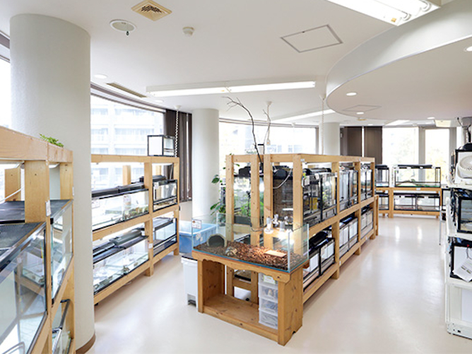 仙台総合ペット専門学校のオープンキャンパス