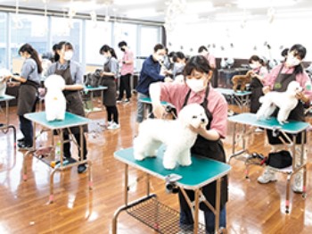 福岡ＥＣＯ動物海洋専門学校のcampusgallery