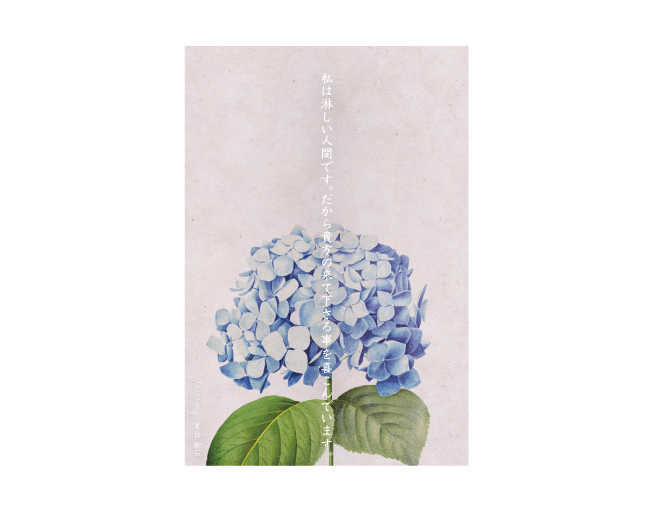 グラフィックデザイン