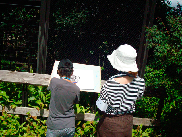 夏休み子ども写生大会2