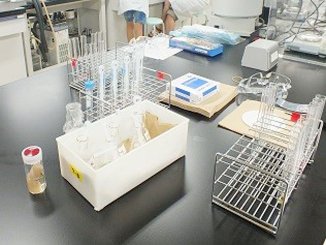 夏休み親子科学講座②「いろんなスライムを作ってみよう」初級編2