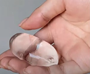 ひらめき☆ときめきサイエンス～ようこそ大学の研究室へ～ＫＡＫＥＮＨＩ プログラム概要
なぞの生命体ふよふよ～水の中をぐるぐる動くゲルをつくろう！～1