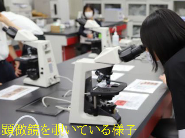 臨床検査技師の魅力を世に広め、医療従事者の育成に貢献したい！4